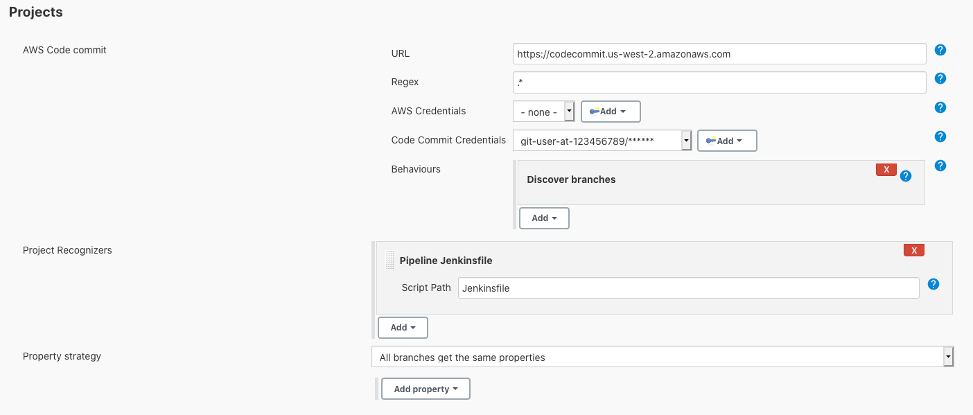 Jenkins Project Config